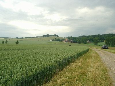 Golf & Sportrasen-Grünflächen-Grünland
